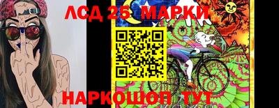 Альфа ПВП Заволжье
