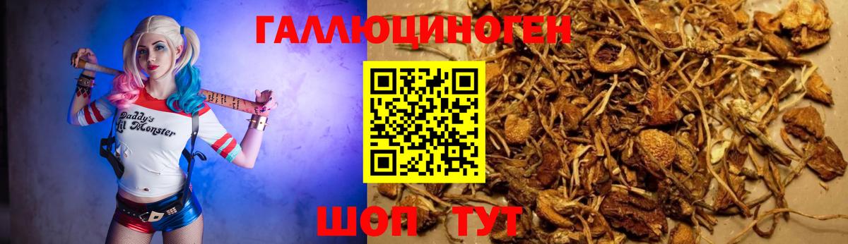 Лесной  Псилоцибиновые грибы ЛСД  Галлюциногенные грибы Magic Shrooms  Вход с VPN 