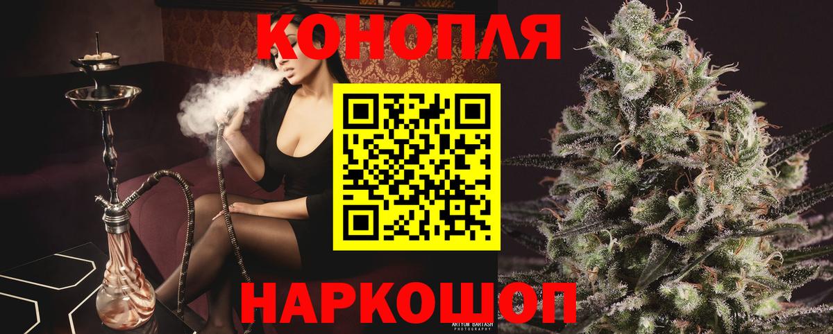 Марихуана OG Kush Лесной